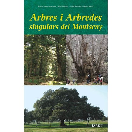 Arbres monumentals i arbredes singulars del Montseny