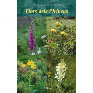 Descripció de les flors més comuns dels Pirineus