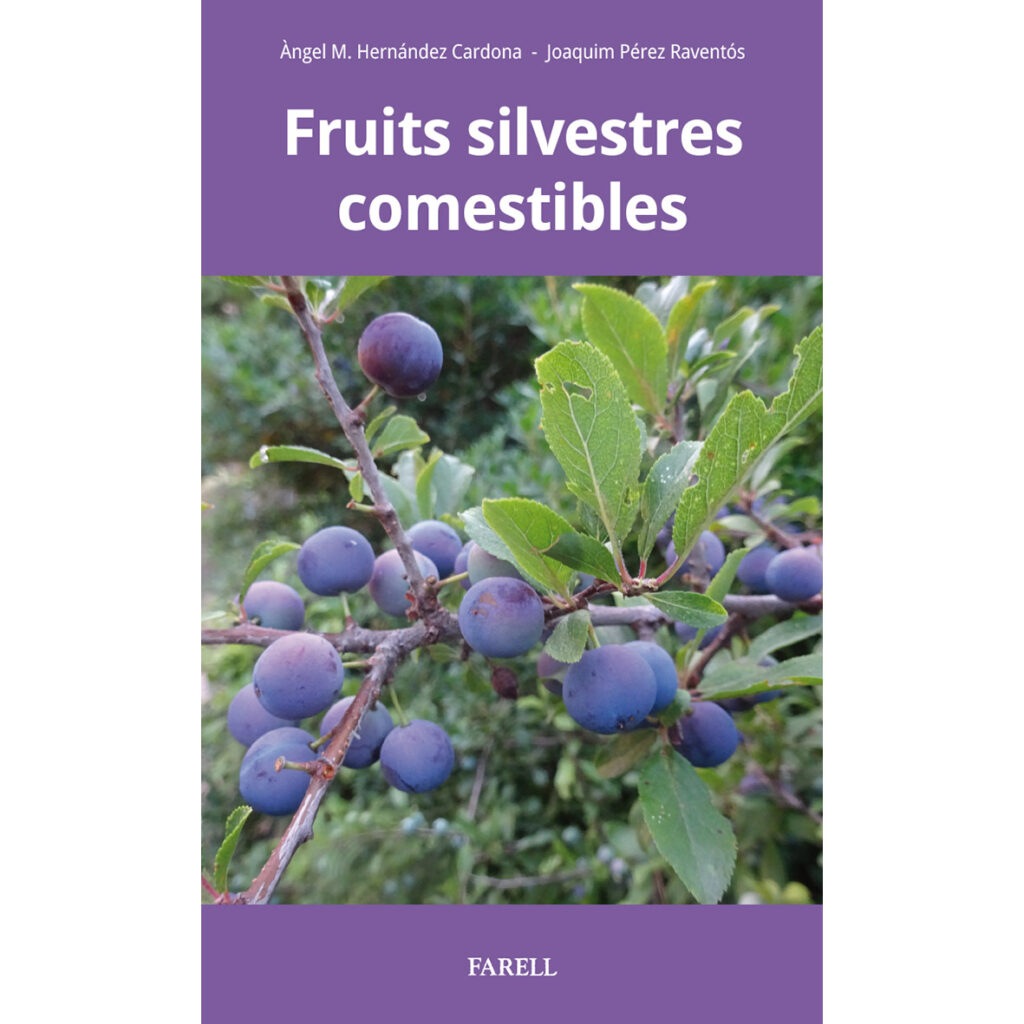 fruits-silvestres-comestibles